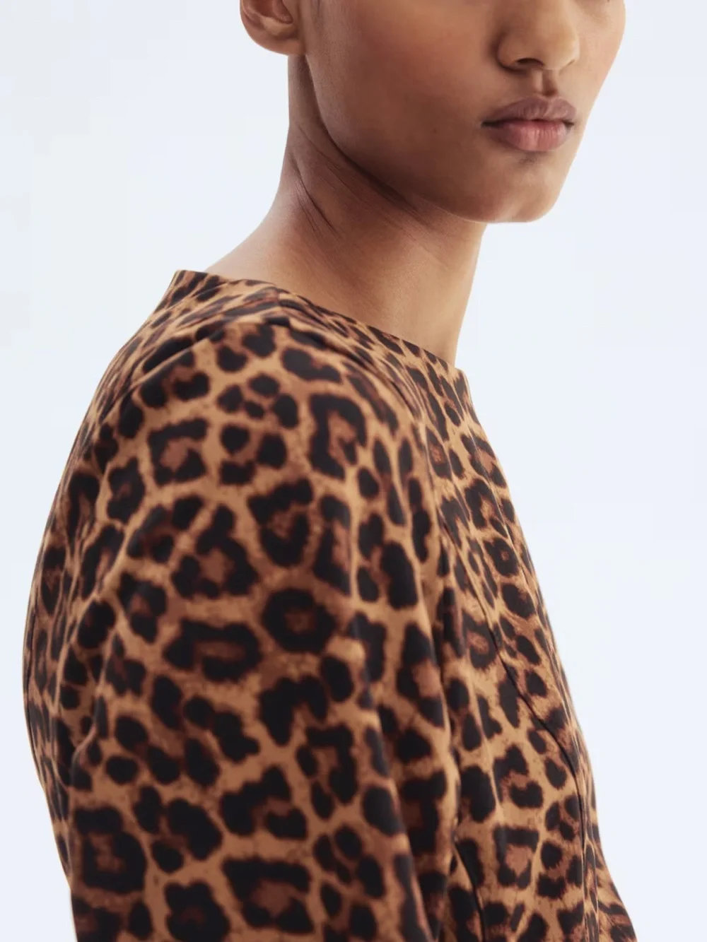 H&M Twill Tapered Waist Leopard Print A-Line Dress in Brown and Black Medium
NWT - Picture 3 of 7